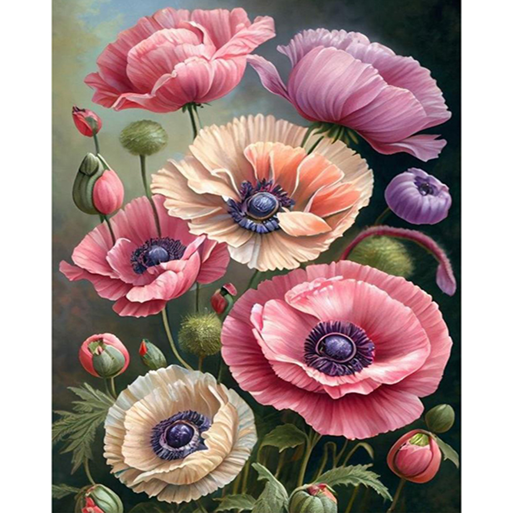 Poppy-Paint by Numbers-16"x20"/40x50cm
