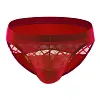 Men's Athletic Silk Underwear Low Rise Nylon Mesh Elastic Solid Pattern Sexy Briefs
