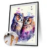 Two Owls-Paint By Numbers Acrylic Painting 40*50CM