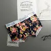 Men's Ice Silk Sexy Breathable Printed Boxer Briefs