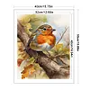 (US Local)Robin-11CT Stamped Cross Stitch Kit(40x50cm)