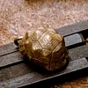 Pure copper bell tortoise shell keychain pendant good luck