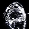 3M Copper Wire String Lights PVC LED Fairy Lights for Bobo Balloon (White Light)