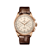 PREMIER B09 CHRONOGRAPH 40 RB0930371G1P1