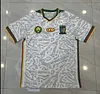 2024 Cameroon Third Away Football Shirt 1:1 Thai Quality love fball