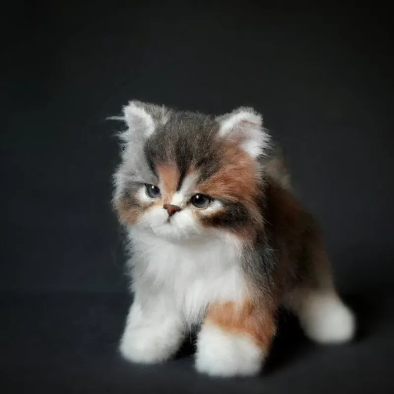 COMPANION PET CAT