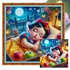 (Multi-Style)Disney Princess-11CT/18CT Stamped Cross Stitch 50*50cm/30*30cm