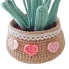 DIY Flower Potted Crochet Kit with Video Tutorial Cute Plants Hand-Knitted Tool