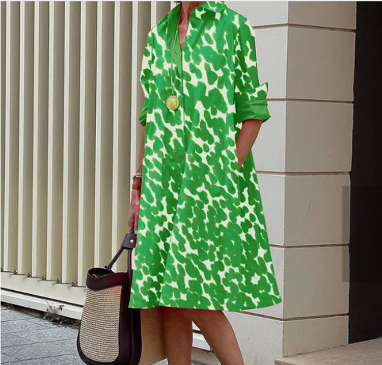 New Printed Pocket Shirt Dress