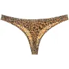 Sexy Transparent Ice Silk Low-Waist Seamless Thong
