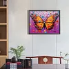 Butterfly-Paint by Numbers Acrylic Painting 30*40cm