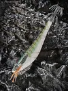 Luminous Wood Shrimp Fishing Lure Steel Wire Squid Jig Shrimp Bait for Saltwater