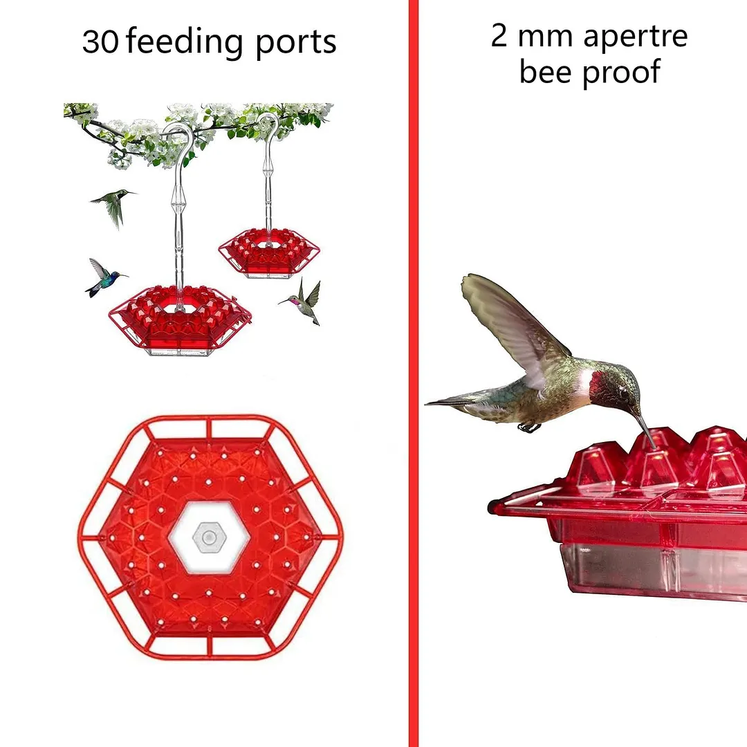 ✨LAST DAY SALE-60% OFF💥Hummingbird Feeders for Outdoors Hanging