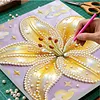 Lily DIY Pearl Painting Kit with Frame 30x30cm Pearl Gem Paintings Picture Arts Craft for Adults/Beginners Gift Home Wall Decor