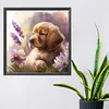 Golden Retriever Puppy-Paint by Numbers Acrylic Painting 40*40CM