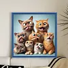 Funny Cat-11CT Stamped Cross Stitch 40*40cm