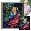 Parrot Flower - 11CT Stamped Cross Stitch 40*50cm/15.75*19.69in