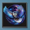 Star Owl-Paint by Numbers Acrylic Painting 20*20cm