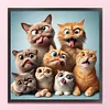 Funny Cat-11CT Stamped Cross Stitch 40*40cm