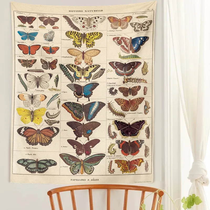 Butterfly Illustration Chart Tapestry Vintage Tapestries Aesthetic Tapestry Chart Tapestry Colorful Tapestry Wall Hanging