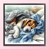 (Multi-Style) Sleeping Dog Cat-11CT Stamped Cross Stitch 40*40cm