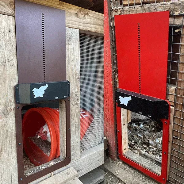 🎊HOT SALE 49% OFF🎊 --Automatic Chicken Coop Door