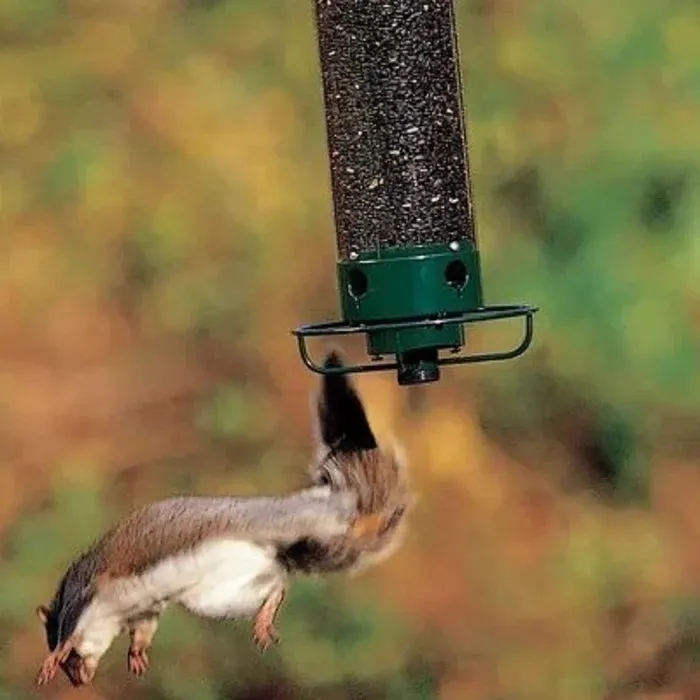 🔥Hot Sale -100% Squirrel-Proof Bird Feeder