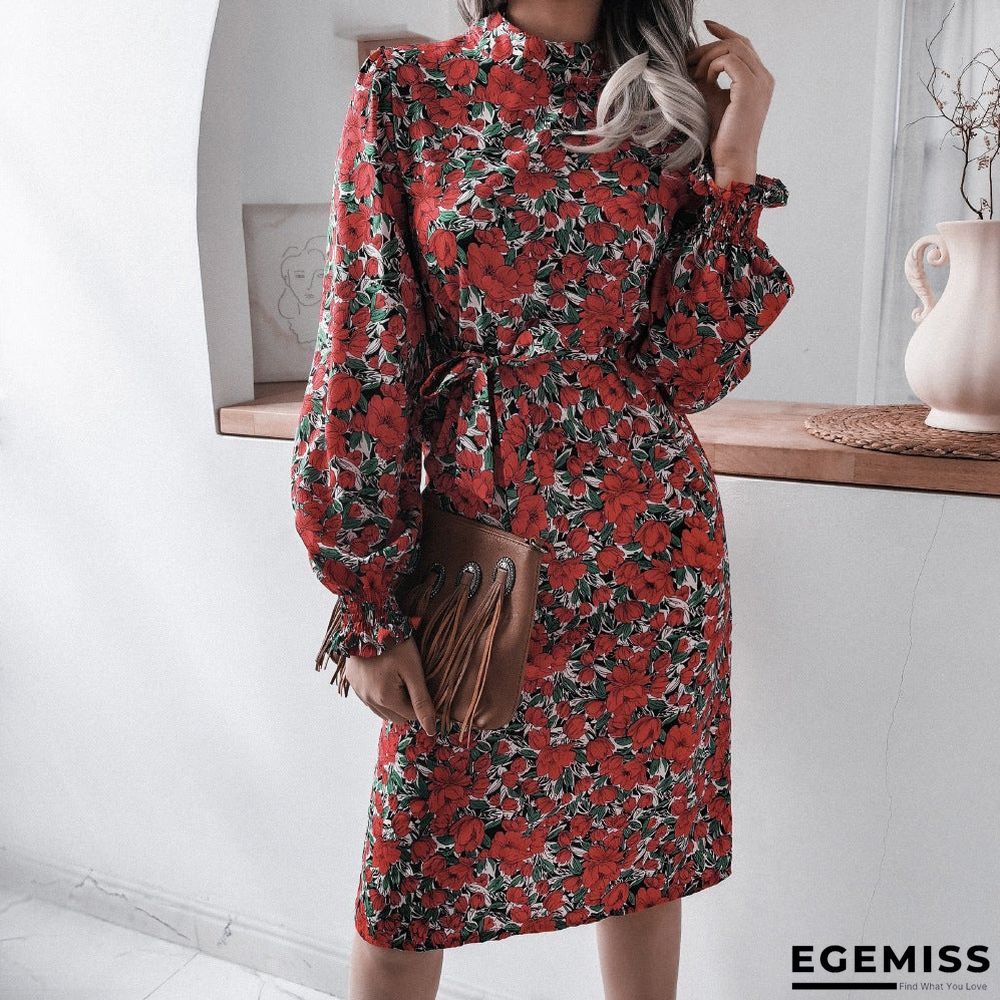 Floral Stand Collar Lantern Long Sleeve Chiffon Dress | EGEMISS