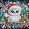 (US Local)4pack Xmas Owl-Special Shaped Diamond Painting Kit(30x30cm)