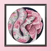 Partial Embroidery DIY Snake Flower Pattern Stamped 11CT Cross Stitch Kits