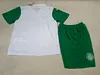 Joyfball 2025/2026 Kids Size Palmeiras Away Soccer Jersey 1:1 Thai Quality
