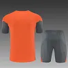 2025-2026 Bayern M&uuml;nch Training Suit Football Shirt 1:1 Thai Quality