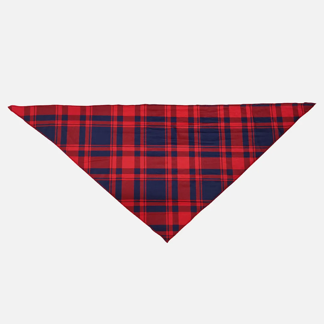 Christmas Light and "Family Christmas 2024" Printed Red and Blue Plaid Christmas Matching Pajamas