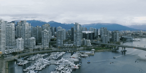 giphy (4).gif