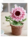 DIY Handmade Twist Stick Craft Small Potted Plants Chenille Stems Craft Pipe Cleaners Gift Decor Set