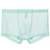 Men's sexy ultra-thin transparent mesh boxer briefs