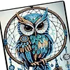 (US Local)DIY Special Shaped Owl Dreamcatcher 50 Pages Diamond Painting Notebook Kit