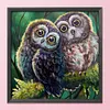 >SALE<48x48cm 11CT Cross Stitch Kit Stamped Canvas Needlework Owl Birds (CXB158)