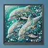 Dolphin-Partial Special Shaped Diamond painting 30*30cm