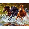 Horse - Full Round Diamond Painting  30x25cm