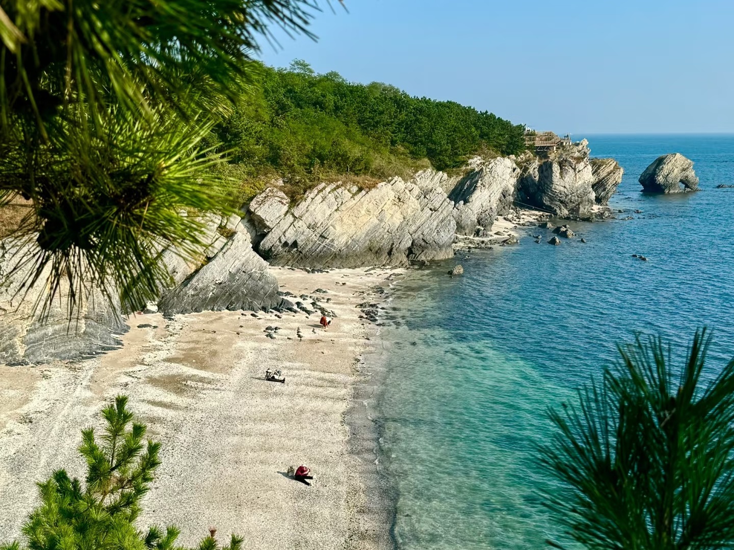 5-Day Dalian Tour: Coastal Wonders & Cultural Treasures-Summer Escape Tour-C1（Korean-speaking tour guide）