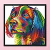 Colorful Dog-14CT Stamped Cross Stitch Kit(34x34cm)