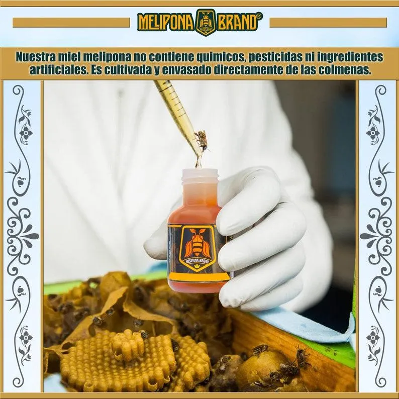 Melipona Honey, Stingless Bee Honey, Meliponini Honey, Miel Melipona, Original, Authentic, Natural, Sweet Flavor