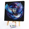 Star Owl-Paint by Numbers Acrylic Painting 20*20cm