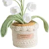 Crochet Flowers Potted Plants Decorative Crochet Ornaments DIY Gifts for Friends