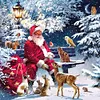 Diamond Painting-DIY Full Round Drill Christmas Santa Claus(30*30CM)