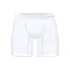 Men's Sheer Ice Silk Boxer Briefs Sexy Super Thin Seamless Trunk Underwear Bulge Pouch Panties
