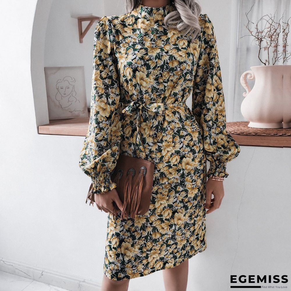 Floral Stand Collar Lantern Long Sleeve Chiffon Dress | EGEMISS