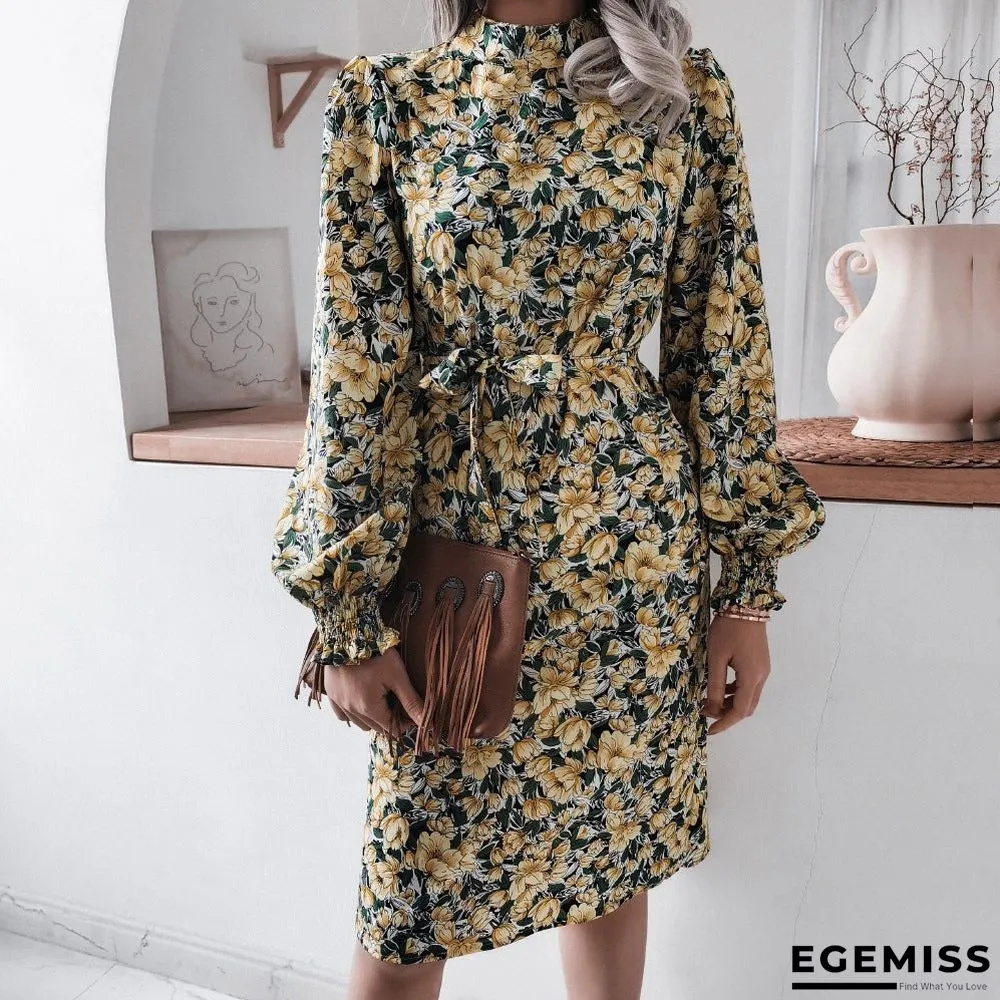 Floral Stand Collar Lantern Long Sleeve Chiffon Dress | EGEMISS