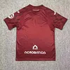 2024-2025 Torino Home Football Shirt 1:1 Thai Quality